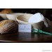 Banneton Proofing Basket - 10 inch Oval Set - Sourdough Bread making for Professional & Home Bakers with Linen Brotform Liner Bowl Scraper & Bread Lame - B07DSLT3CC